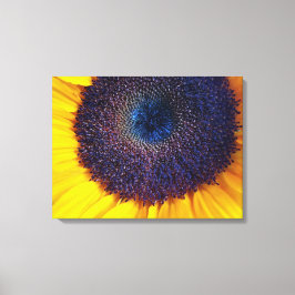 Sonnenblumen mit Blue Center Closeup Leinwand Art