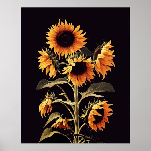 SONNENBLUMEN MIT GRÜNEN BLÄTTER IN SCHWARZ POSTER (Vorne)