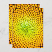 Sonnenblumen-Mitteilungskarten Mitteilungskarte (Vorne/Hinten)