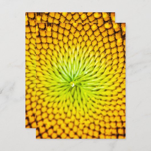 Sonnenblumen-Mitteilungskarten Mitteilungskarte (Vorne/Hinten)