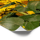 Sonnenblumen Morgen Poster (Ecke)