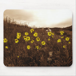 Sonnenblumen Mousepad