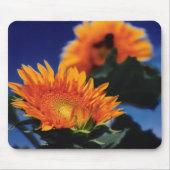 Sonnenblumen Mousepad (Vorne)