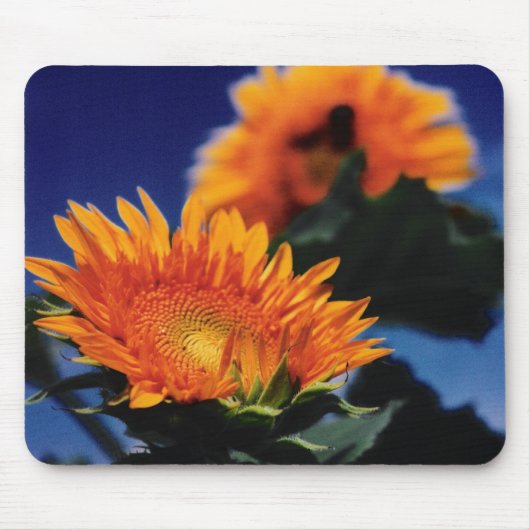 Sonnenblumen Mousepad (Vorne)