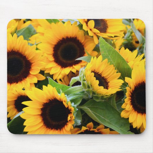 Sonnenblumen Mousepad (Vorne)