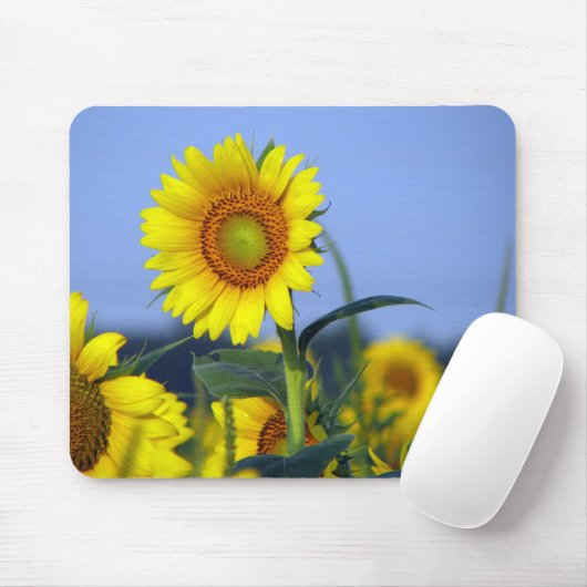 Sonnenblumen Mousepad (Mit Mouse)