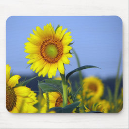 Sonnenblumen Mousepad