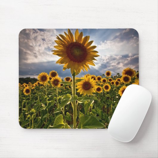 Sonnenblumen Mousepad (Mit Mouse)