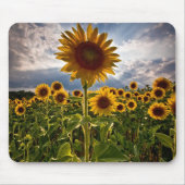 Sonnenblumen Mousepad (Vorne)