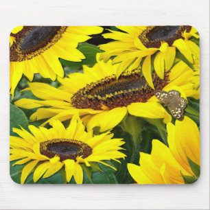 SONNENBLUMEN ~ Mousepad