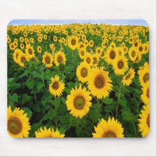 Sonnenblumen Mousepad