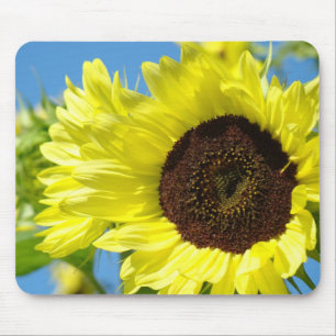 SONNENBLUMEN Mousepad gelbe Sun