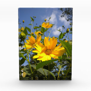 Sonnenblumen N Sky Wrapped Canvas Fotoblock