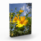 Sonnenblumen N Sky Wrapped Canvas Fotoblock (Links)