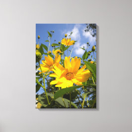 Sonnenblumen N Sky Wrapped Canvas Leinwanddruck