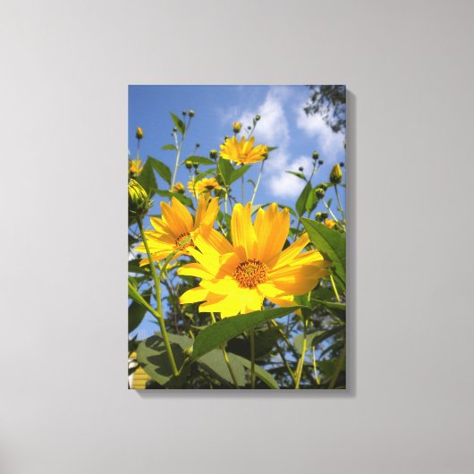Sonnenblumen N Sky Wrapped Canvas Leinwanddruck (Vorderseite)