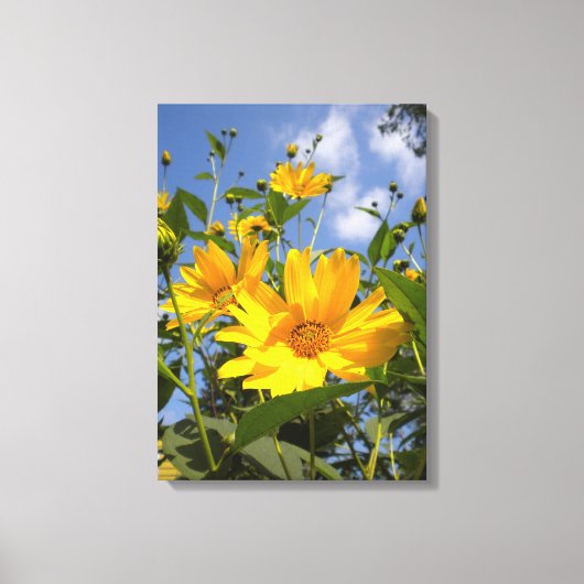 Sonnenblumen N Sky Wrapped Canvas Leinwanddruck (Vorderseite)