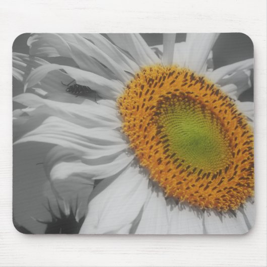 Sonnenblumen Nah Schwarz-weiße Mousepad (Vorne)