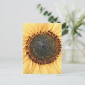 Sonnenblumen Nah-up Foto Postkarte (Stehend Vorderseite)