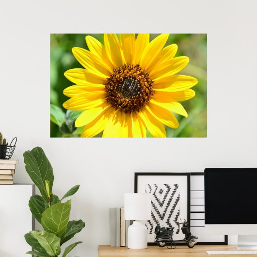 Sonnenblumen Nah-Up-Poster Poster (Heimbüro)