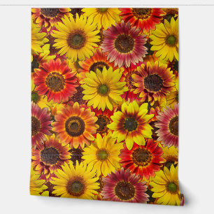 Sonnenblumen Nahtloses Muster Tapete