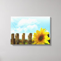 Sonnenblumen Natur Schönheit
