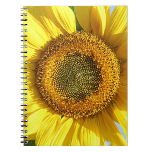 Sonnenblumen-Notebook Notizblock