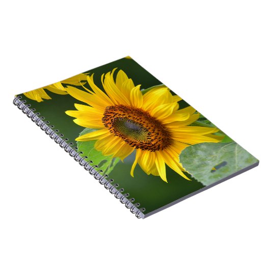 Sonnenblumen-Notebook Notizblock (Rechte Seite)