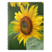 Sonnenblumen-Notebook Notizblock (Vorderseite)