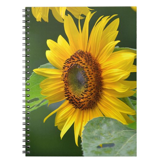 Sonnenblumen-Notebook Notizblock (Vorderseite)