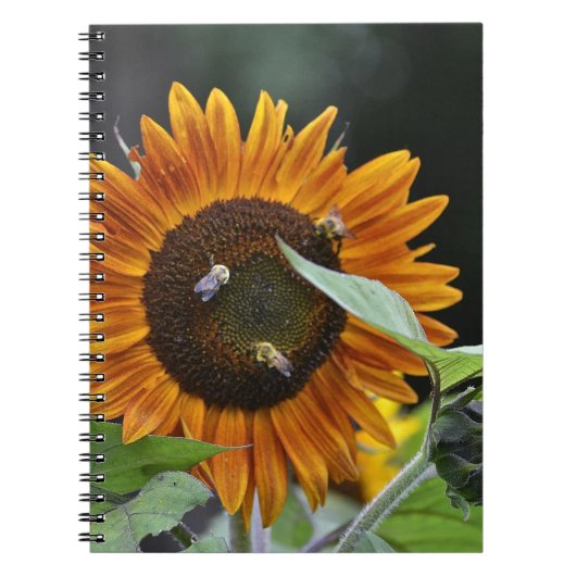 Sonnenblumen-Notebook Notizblock (Vorderseite)