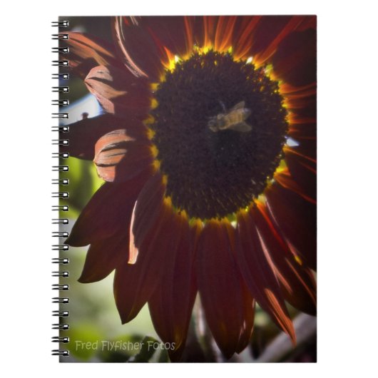 Sonnenblumen-Notebook Notizblock (Vorderseite)