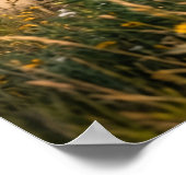 Sonnenblumen Pferd Prairie Run Poster (Ecke)