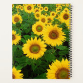 Sonnenblumen Planer (Rückseite)