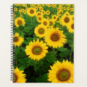 Sonnenblumen Planer (Vorderseite)