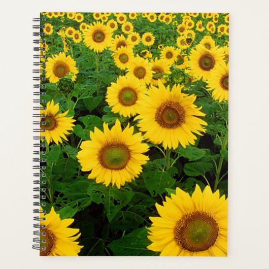 Sonnenblumen Planer (Vorderseite)