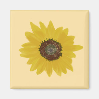 Sonnenblumen-Platz-Magnet Magnet
