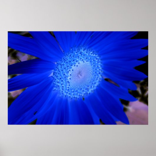 Sonnenblumen Poster (Vorne)