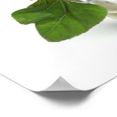 Sonnenblumen Poster (Ecke)