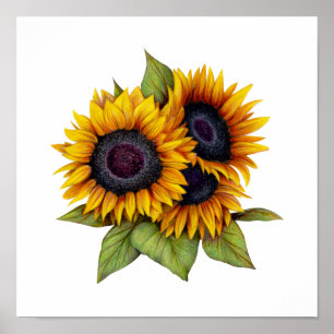 Sonnenblumen Poster