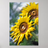 Sonnenblumen Poster (Vorne)