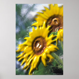 Sonnenblumen Poster