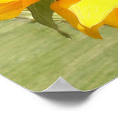 Sonnenblumen Poster (Ecke)
