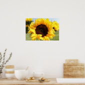 Sonnenblumen Poster (Küche)