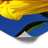 Sonnenblumen Poster (Ecke)