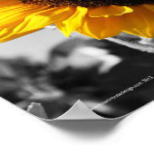 Sonnenblumen Poster (Ecke)
