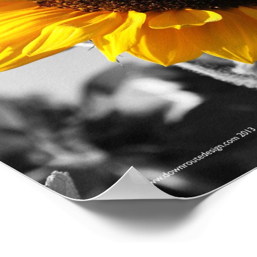 Sonnenblumen Poster (Ecke)