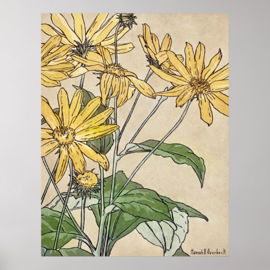 Sonnenblumen Poster (Vorne)