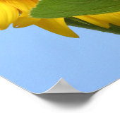 Sonnenblumen-Poster Poster (Ecke)