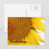 Sonnenblumen Postkarte (Vorne/Hinten)